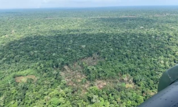 Duro golpe a deforestadores en Guaviare