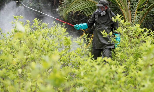 Fumigación con glifosato en Putumayo representaría un atentado