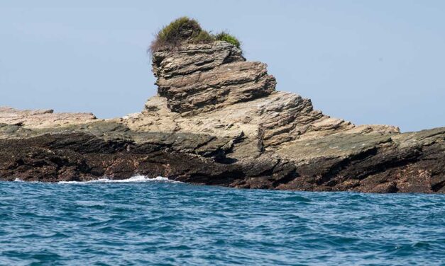 En Gorgona se adelantará nuevo capítulo de ‘Operación Artemisa’ para proteger los mares colombianos