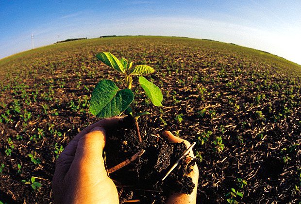 Nutrición sostenible para no devorar el planeta