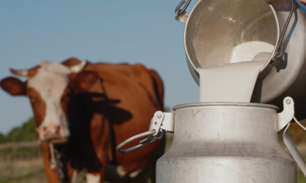 Asoleche se refiere a decisiones de MinComercio sobre importación de leche en polvo