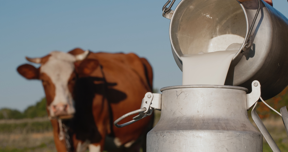 SIC impone millonaria multa a cuatro empresas lecheras por adicionar lactosuero a la leche entera