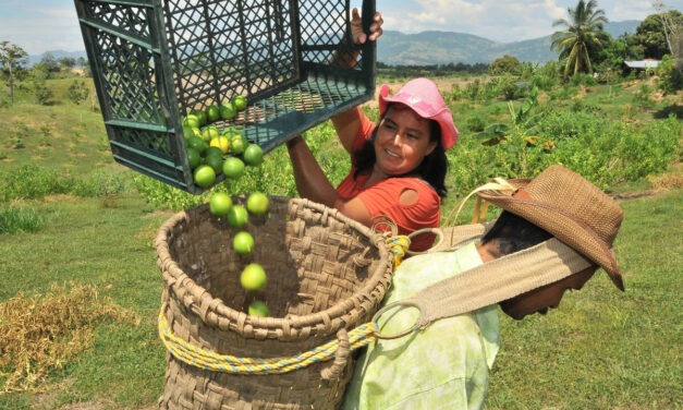 Contraloría alerta incumplimientos en la Reforma Rural Integral