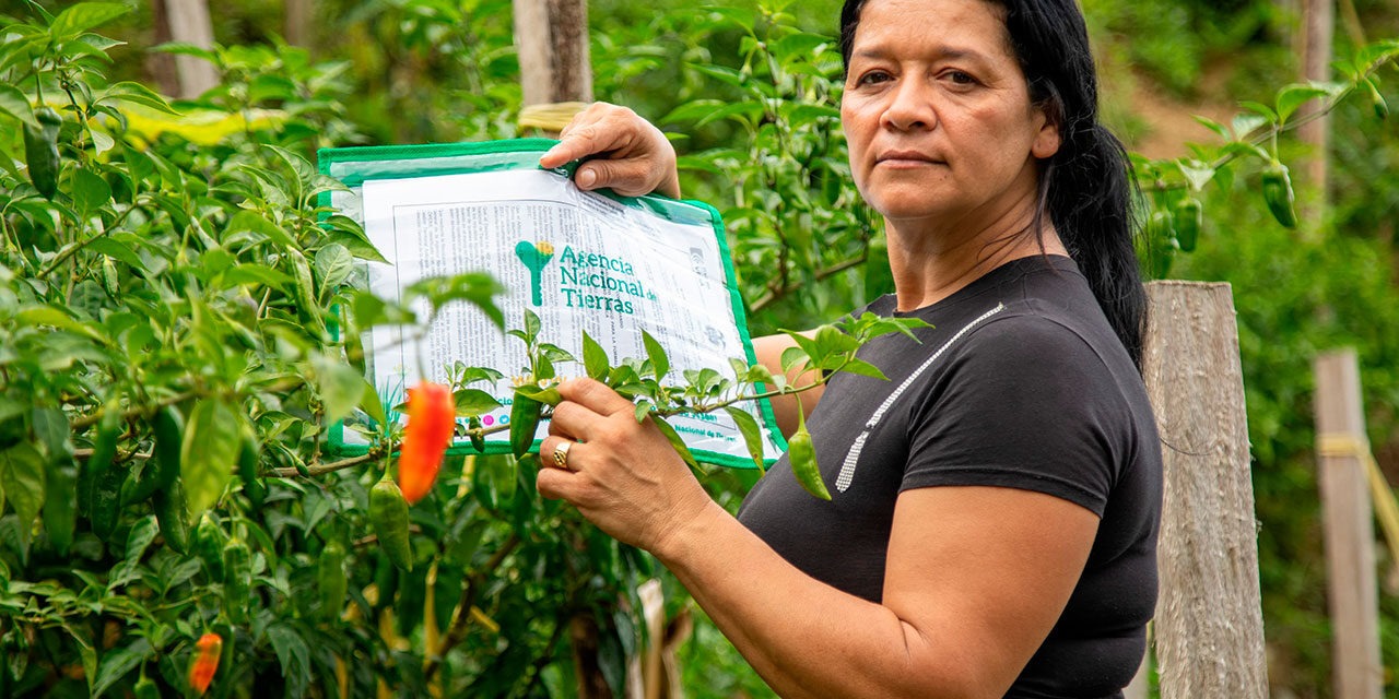 Venta de tierras exparamilitares aportará a reparación de víctimas