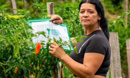 Venta de tierras exparamilitares aportará a reparación de víctimas