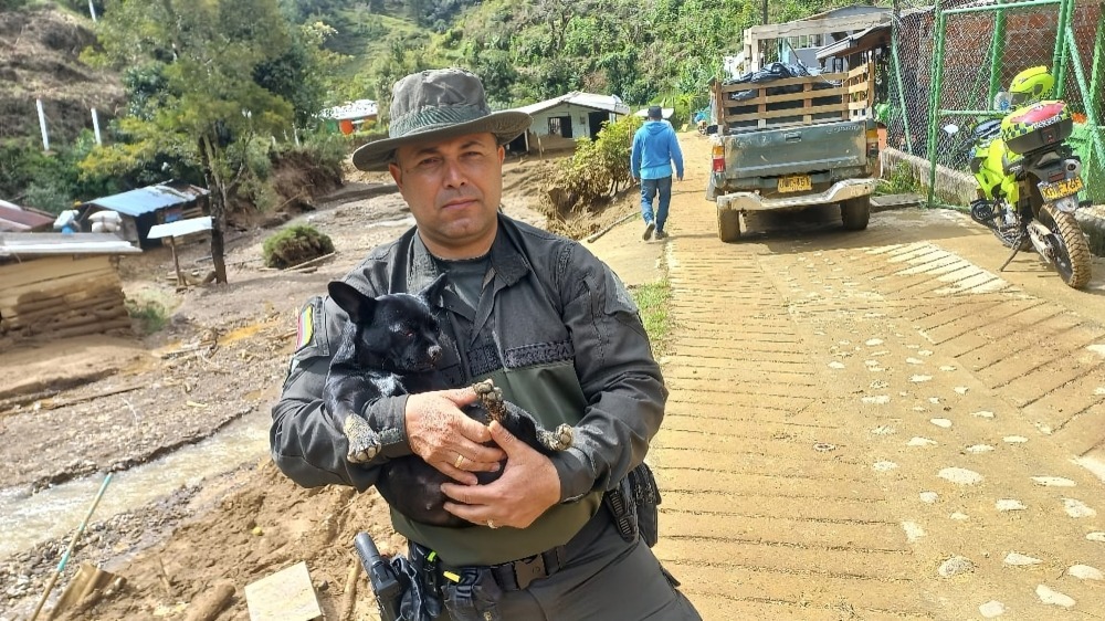 Policía rescata once mascotas en inundación de Montebello