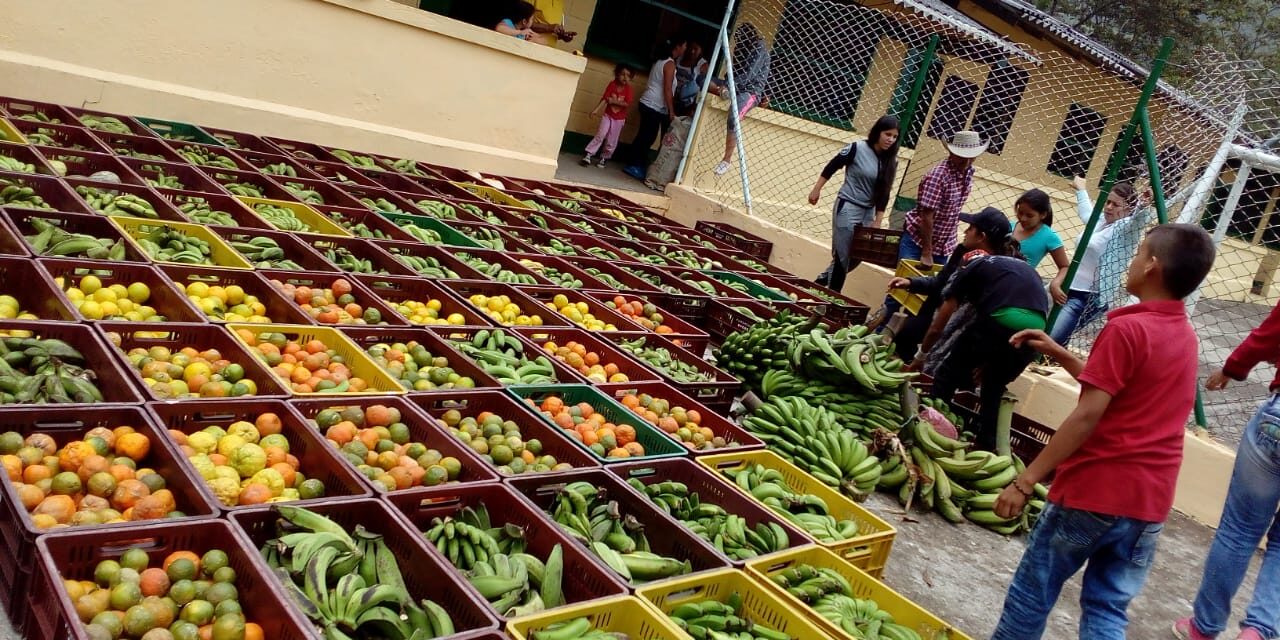 Colombia no puede seguir botando toneladas de alimentos