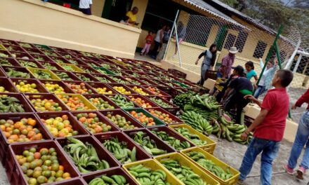 Colombia no puede seguir botando toneladas de alimentos