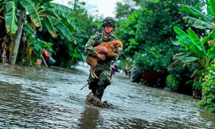 ABC de la Mesada 14 y bonificaciones para militares y policías