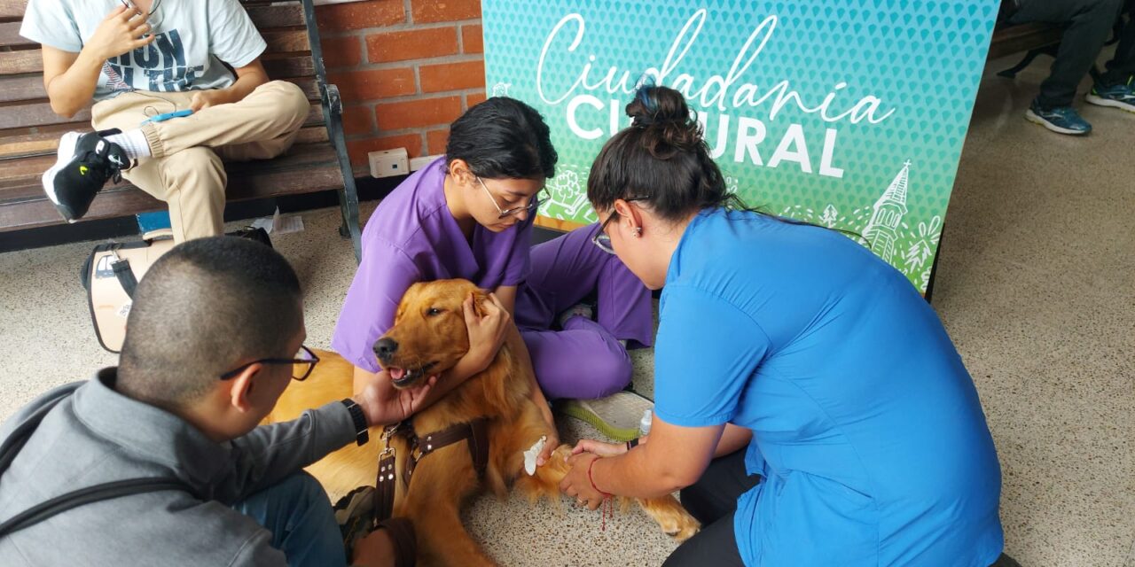 La Estrella, Antioquia impulsa uso de microchips para mascotas