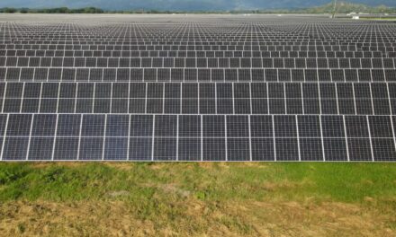 Entra en operación comercial el parque solar fotovoltaico Tepuy