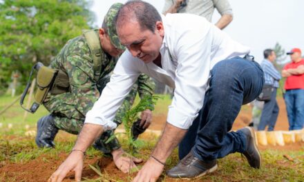 Sembrarán 40 mil árboles en 80 municipios de Antioquia