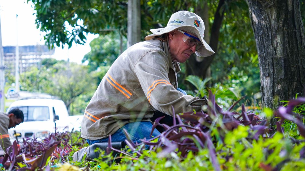 Envigado avanza en mantenimiento de sus quebradas y jardines