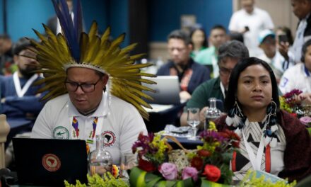 La labor de indígenas amazónicos en la conservación de biodiversidad será clave en COP16