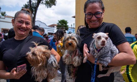 Crece la población de mascotas domésticas en Latinoamérica