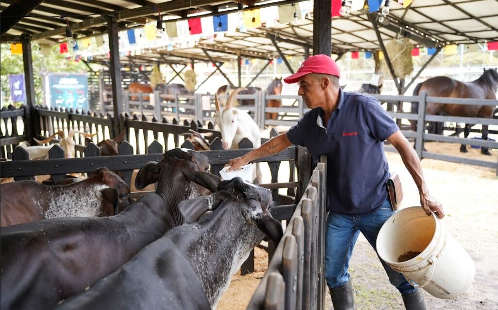 Panaca Viajero llega a Medellín para vivir la magia del campo