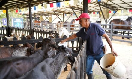 Panaca Viajero llega a Medellín para vivir la magia del campo