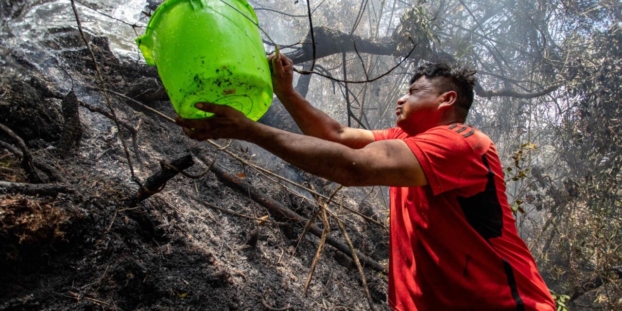 Las claves del trágico escenario causado por los incendios forestales en Perú