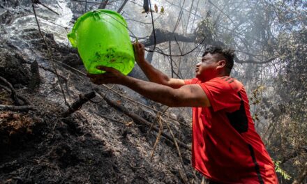 Las claves del trágico escenario causado por los incendios forestales en Perú