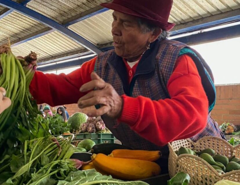 Mercado campesino agroecológico “Bogotá es mi Huerta” regresa con productos frescos y actividades especiales.