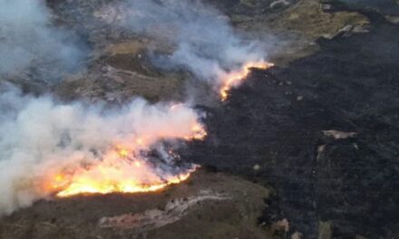 Crisis de incendios forestales en Colombia: 17 focos activos afectan más de 6.800 hectáreas.