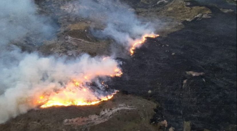 Crisis de incendios forestales en Colombia: 17 focos activos afectan más de 6.800 hectáreas.