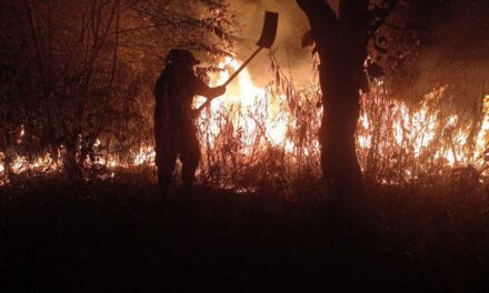 Alerta máxima en Tolima y Huila por incendios forestales devastadores.