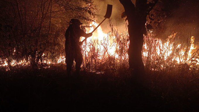 Alerta máxima en Tolima y Huila por incendios forestales devastadores.