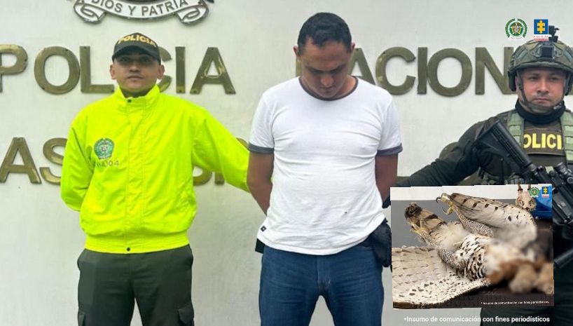 Condenados líderes de la red ‘Harpía’ por tráfico de fauna silvestre