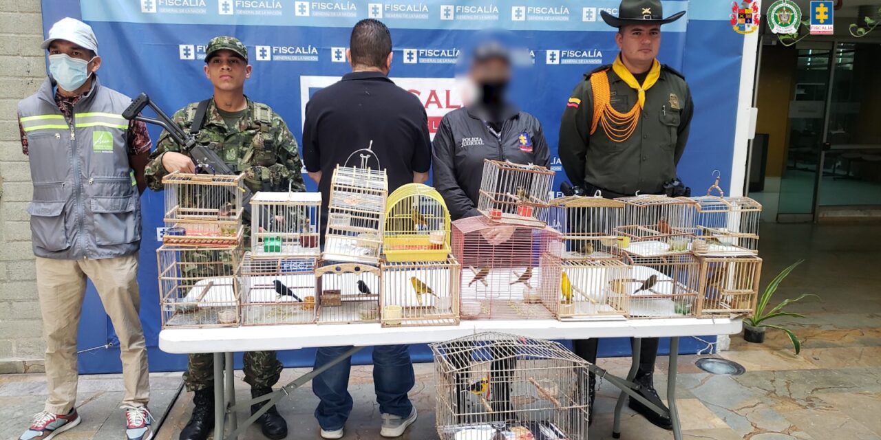 Cae hombre señalado de vender aves silvestres en Copacabana