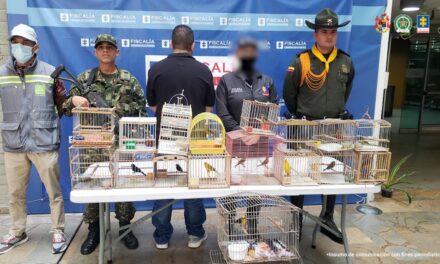 Cae hombre señalado de vender aves silvestres en Copacabana