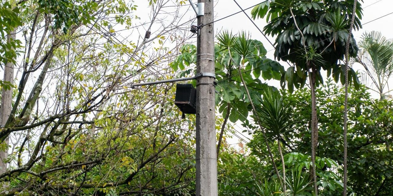 Cajones para abejas : una solución para la comunidad