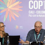 Combustibles fósiles y minería amenazan áreas clave de biodiversidad, advierten en COP16