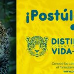 Corantioquia abre convocatoria para Distinción Vida 2024