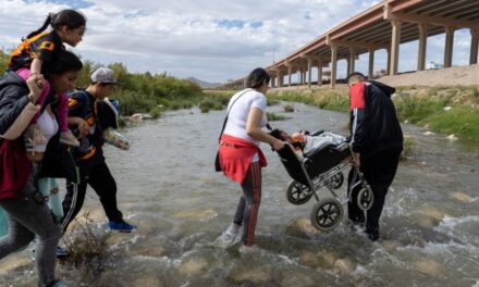 Nuevo Plan de Acción de Datos sobre Migración y Refugio: un paso hacia la inclusión