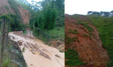 Deslizamiento en La Valeria dejó a Caldas sin agua potable